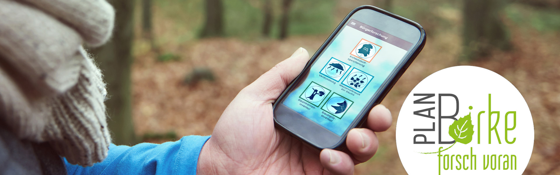 PlanbirkeBanner+ Citizen Science Planbirke - Couch in the Woods