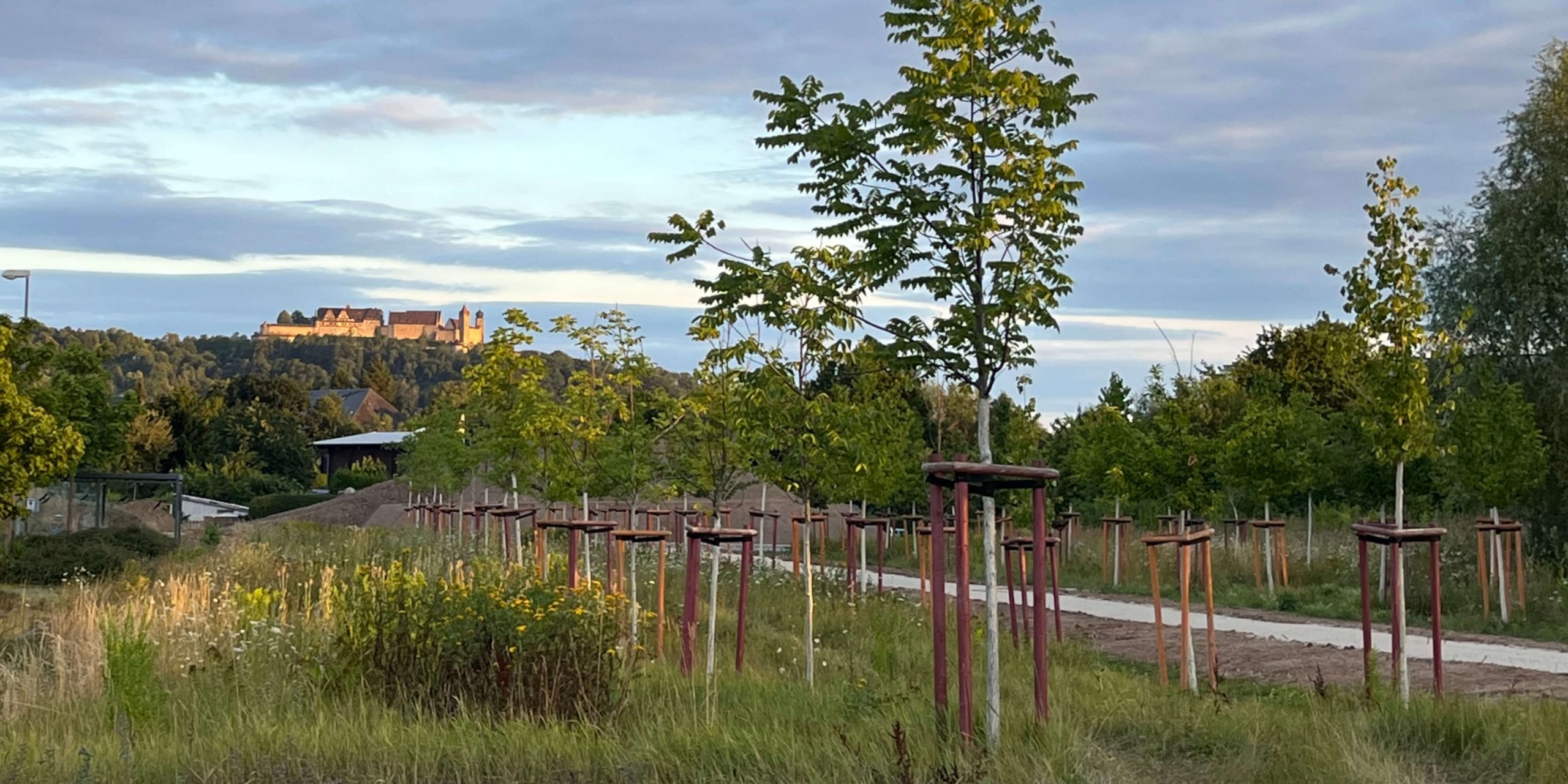 index_test2 KlimAReal - Couch in the Woods